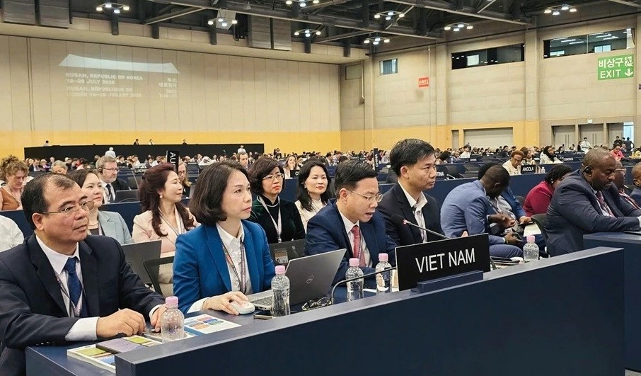 Vietnam Usulkan Prioritas untuk Dorong Kerja Sama Internasional dalam Pelestarian Warisan Dunia